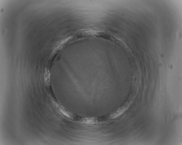 X0000086030624200703231213