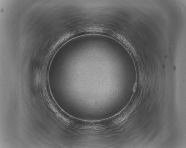 X0000086030625200703231213