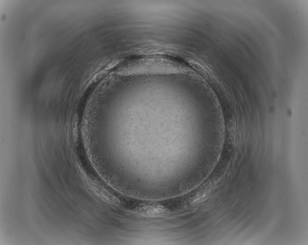 X0000086030642200703231213