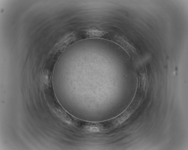 X0000086030655200703231213