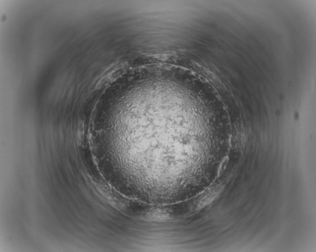 X0000086030656200703231213