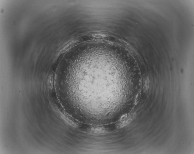 X0000086030666200703231213