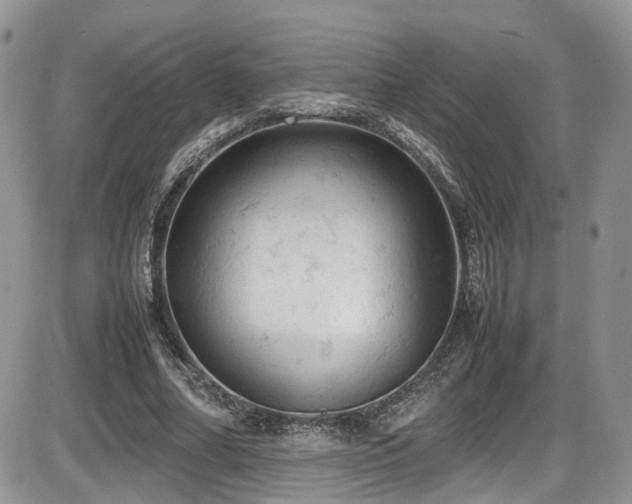 X0000086030682200703231212