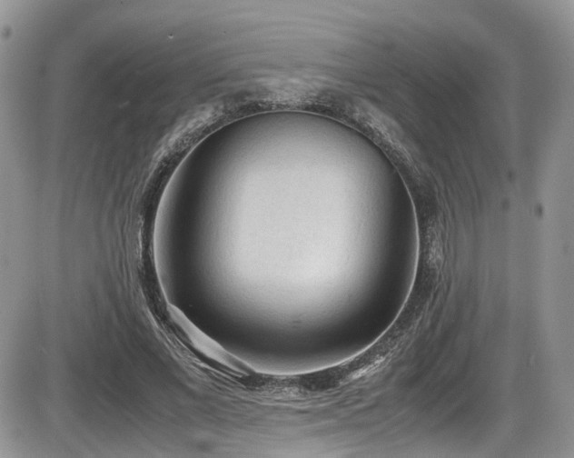 X0000086030685200703231212