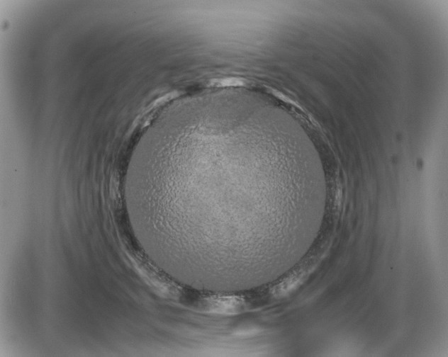 X0000086030711200703231212