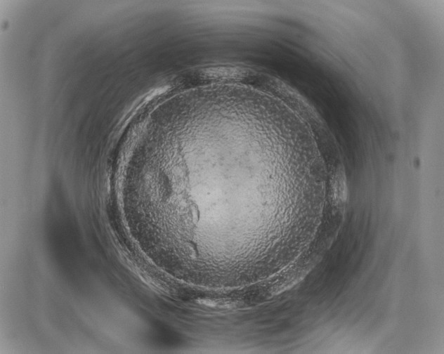 X0000086030733200703231211