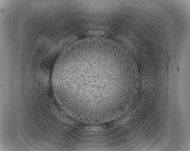X0000086030745200703231211