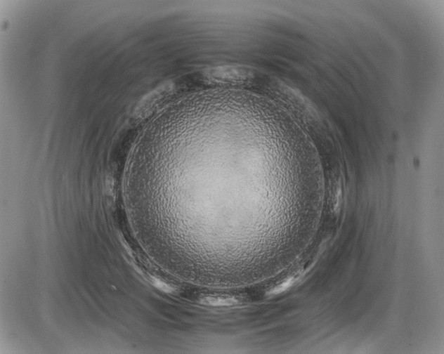 X0000086030749200703231211