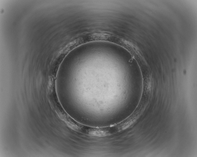 X0000086030759200703231212