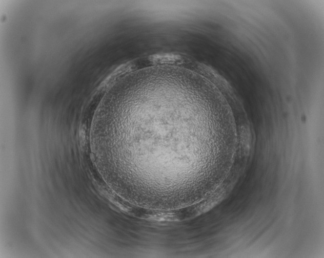 X0000086030761200703231212