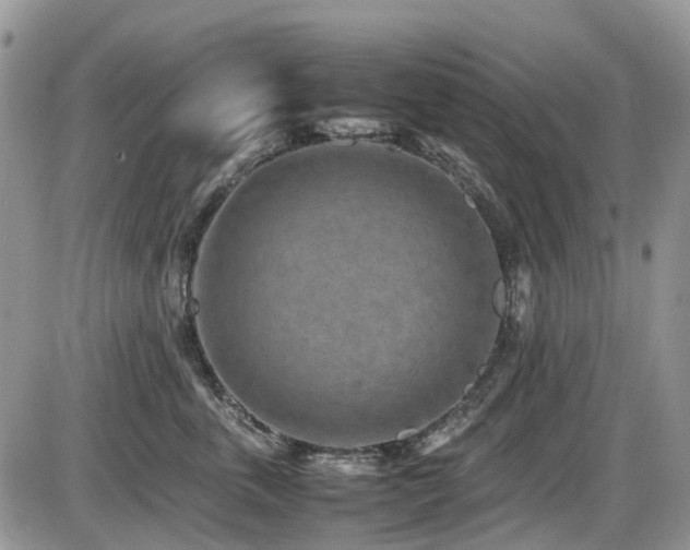 X0000086030763200703231212