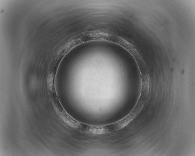 X0000086030767200703231212
