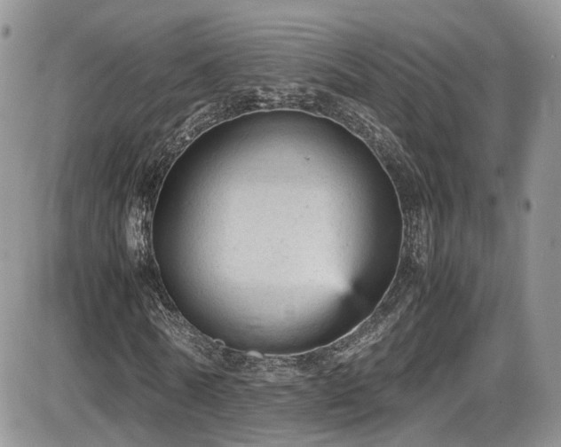 X0000086030770200703231211
