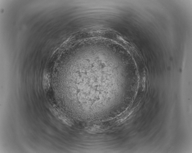 X0000086030772200703231211