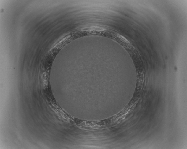 X0000086030774200703231211