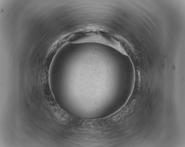 X0000086030776200703231211