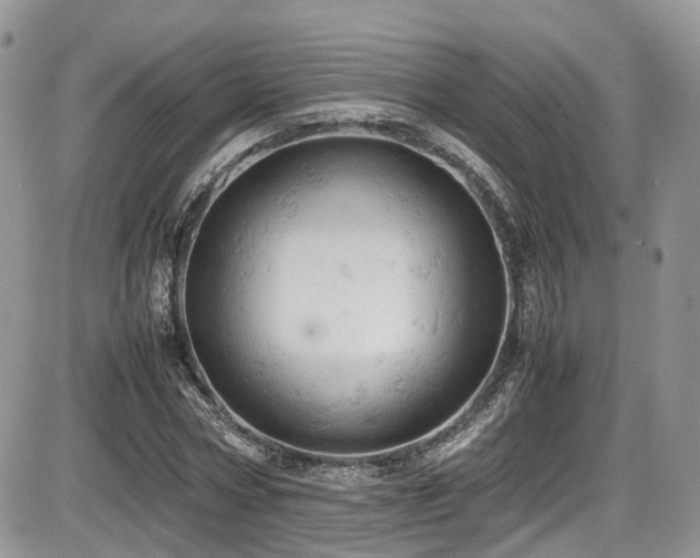 X0000086030778200703231211