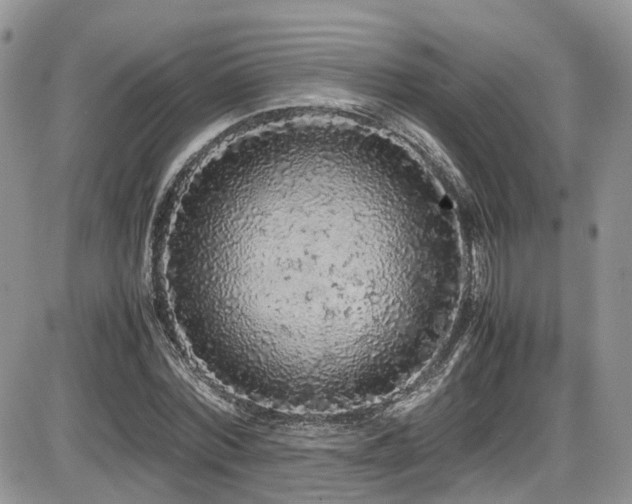 X0000086030780200703231211