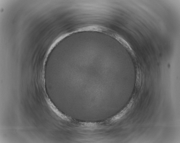 X0000086030800200703231210