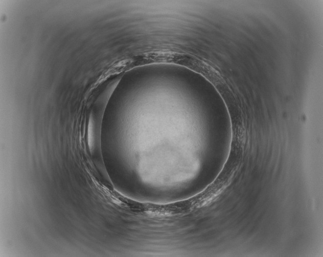 X0000086030818200703231209