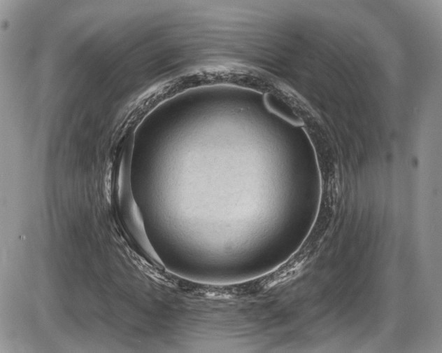 X0000086030822200703231209