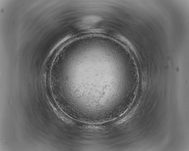 X0000086030827200703231209