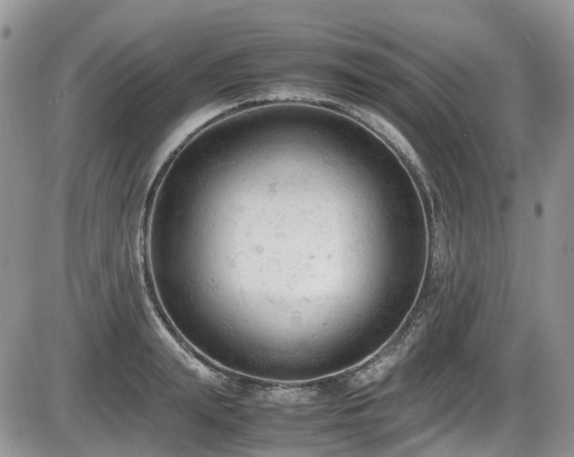 X0000086030847200703231210