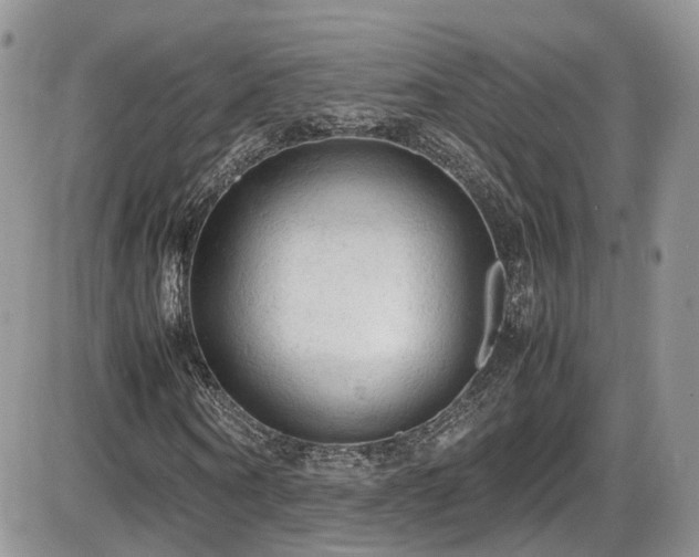 X0000086030866200703231209