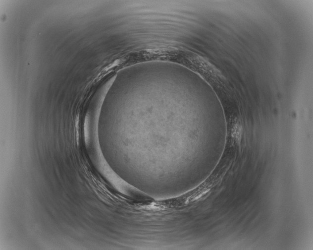 X0000086030868200703231209