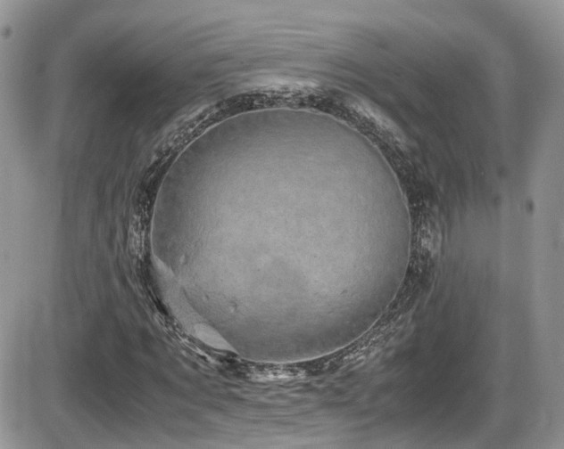 X0000086030869200703231209
