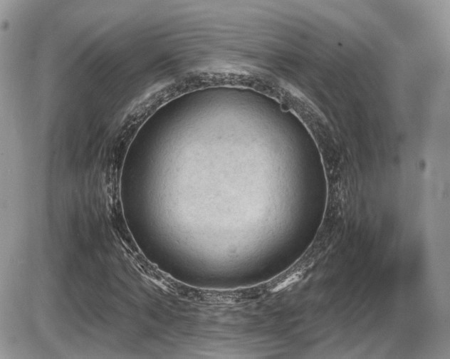 X0000086030870200703231209