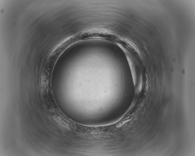 X0000086030872200703231209