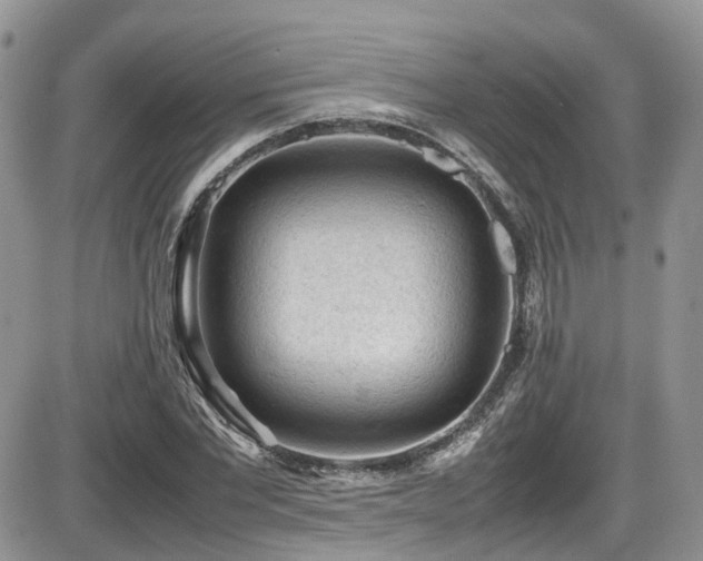 X0000086030877200703231209