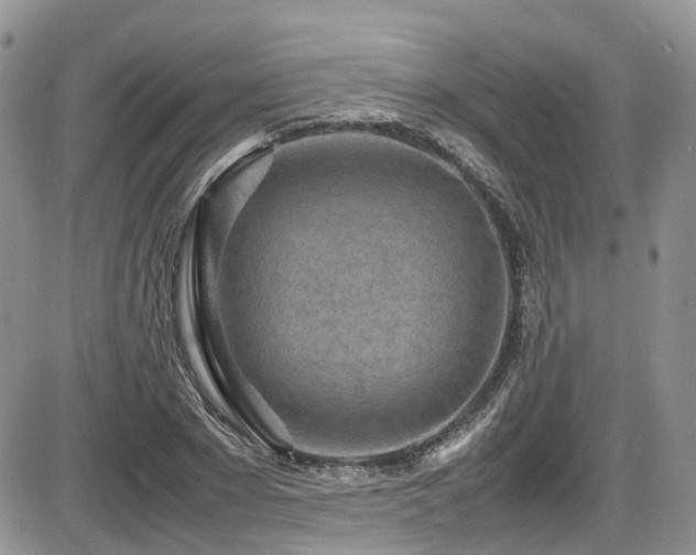 X0000086030881200703231209