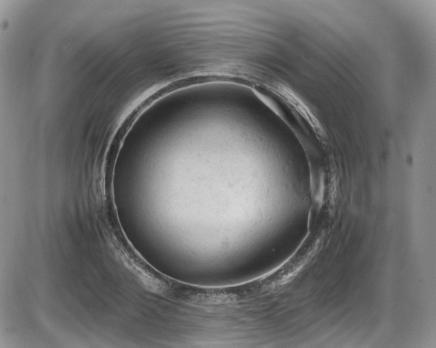 X0000086030884200703231209