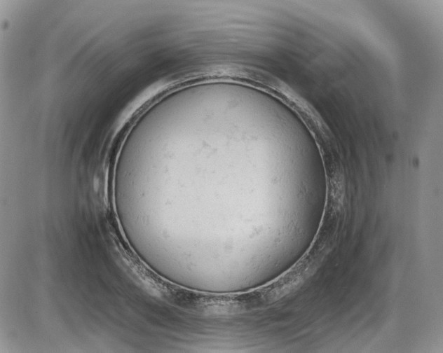 X0000086030886200703231209