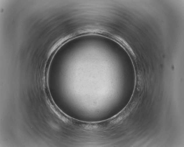 X0000086030890200703231209