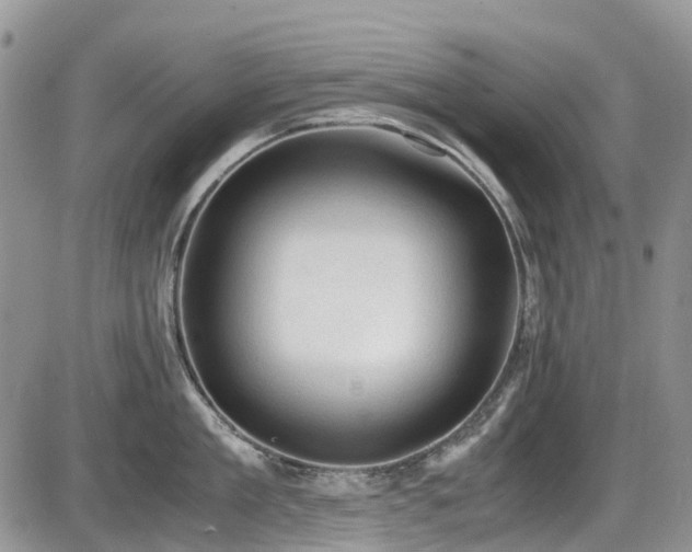 X0000086030909200703231209