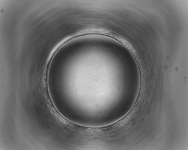 X0000086030912200703231209