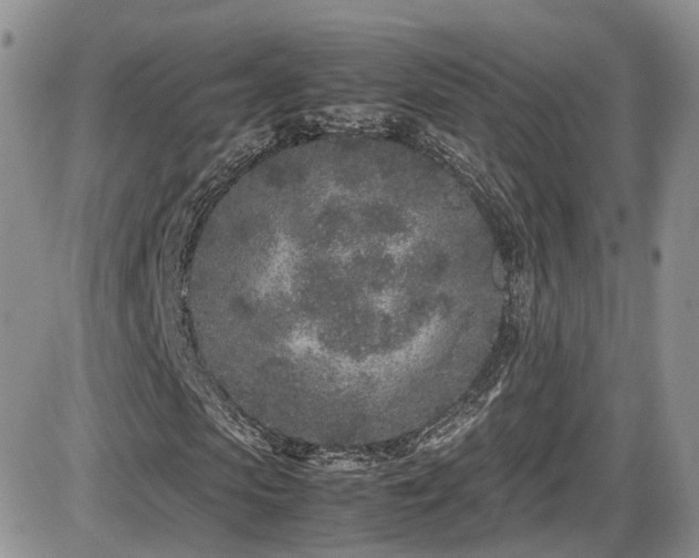 X0000086030913200703231208
