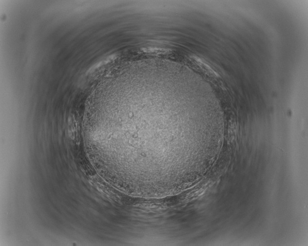 X0000086030917200703231208