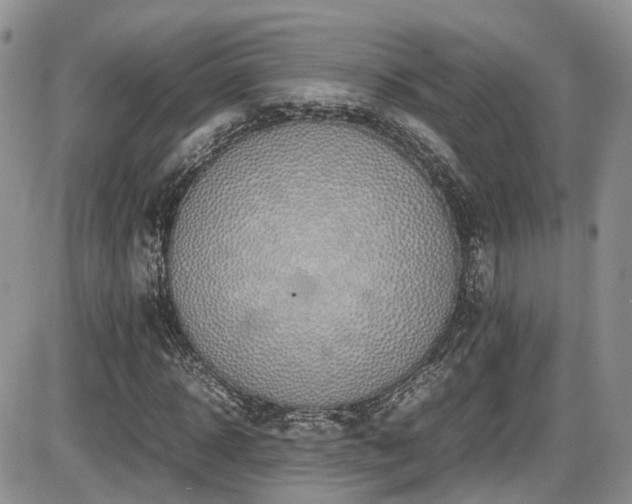X0000086030918200703231208