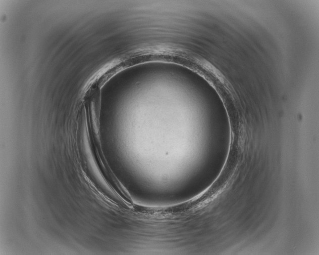 X0000086030922200703231208
