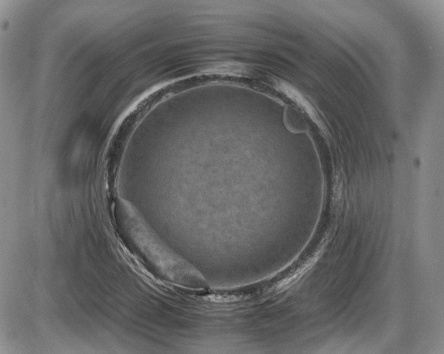 X0000086030923200703231208