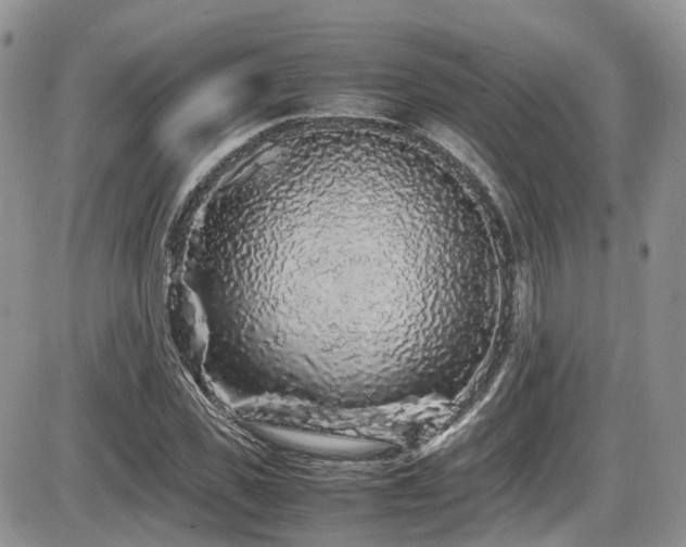 X0000086030925200703231208