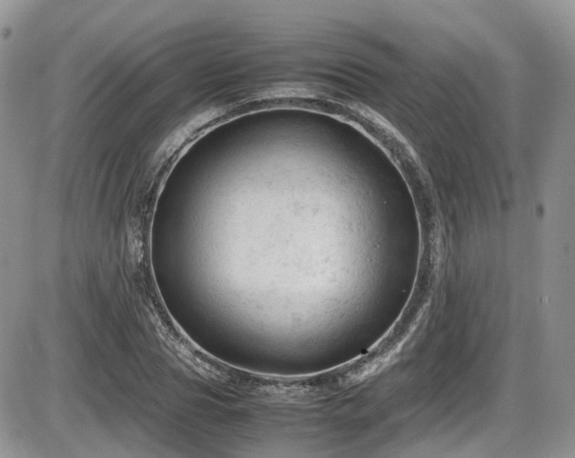 X0000086030929200703231208