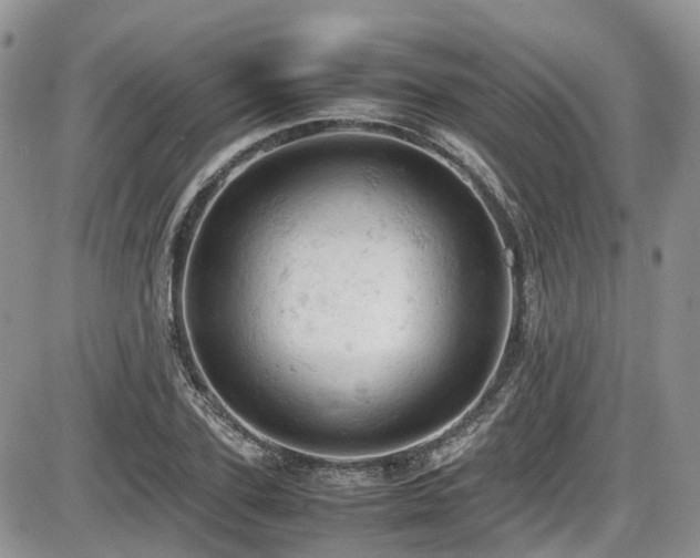 X0000086030931200703231208