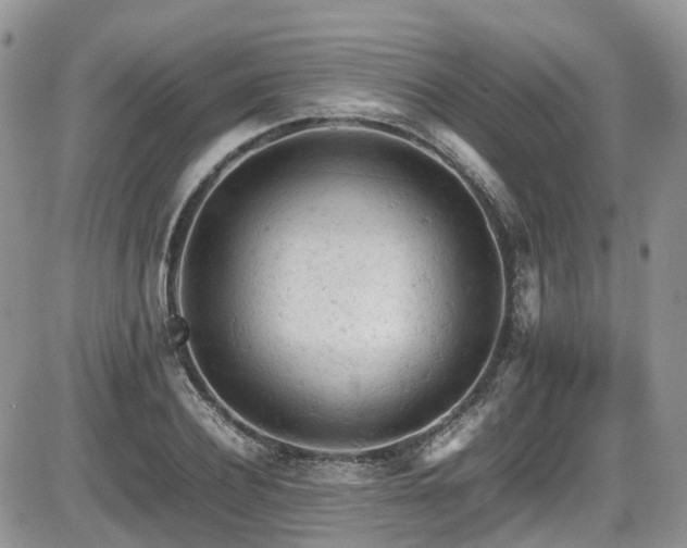 X0000086030932200703231208