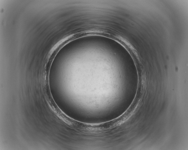 X0000086030933200703231208