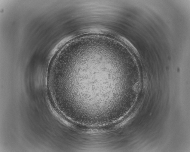X0000086030938200703231208